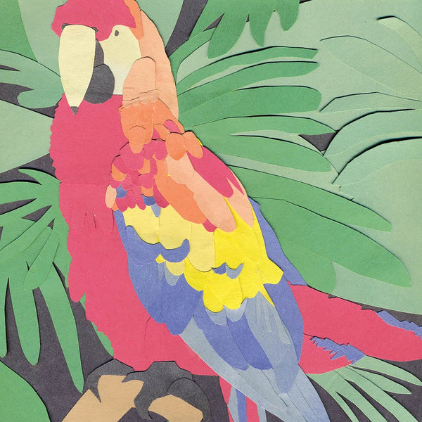 Algernon Cadwallader "Parrot Flies"